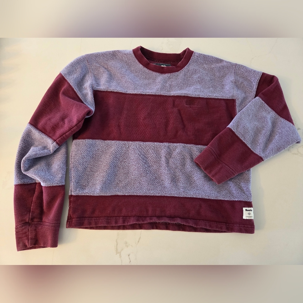 Roots Colorblock Cropped Crewneck Sweater